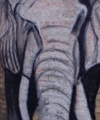 Luis Alberto Álvarez – Bimbo sull’elefante